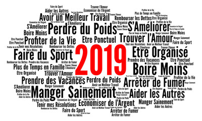 Bonne et heureuse année 2019 ! - UMANUM